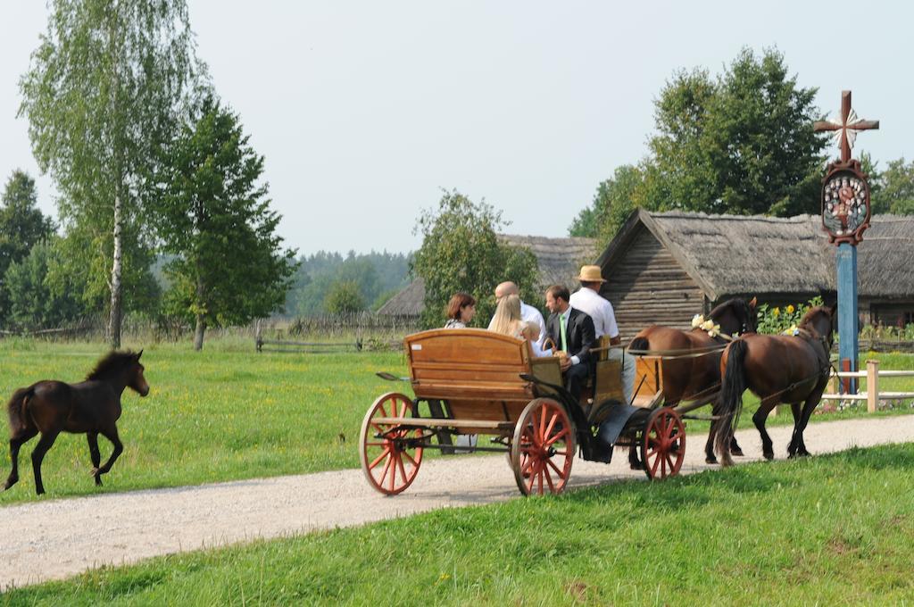 Stay At Lithuanian Folk Museum Rumsiskes المظهر الخارجي الصورة